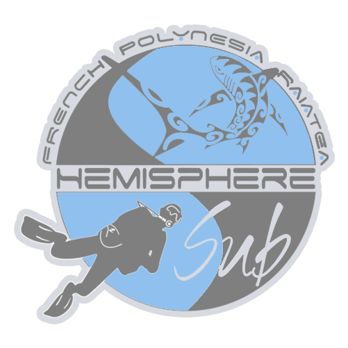 Hemisphere Sub