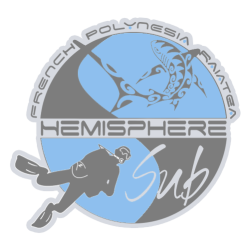 hemispheresub logo