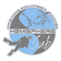 HemisphereSub logo